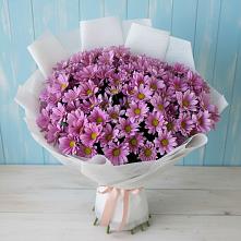 Букет сиреневая охапка в Твери Букет цветов из:  Хризантемы в Твери