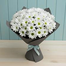 Букет белые хризантемы в Твери Букет цветов из: Хризантемы в Твери