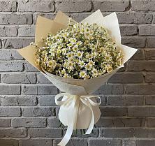 Букет цветов из:  Ромашки #REPLACE_PRED# Твери